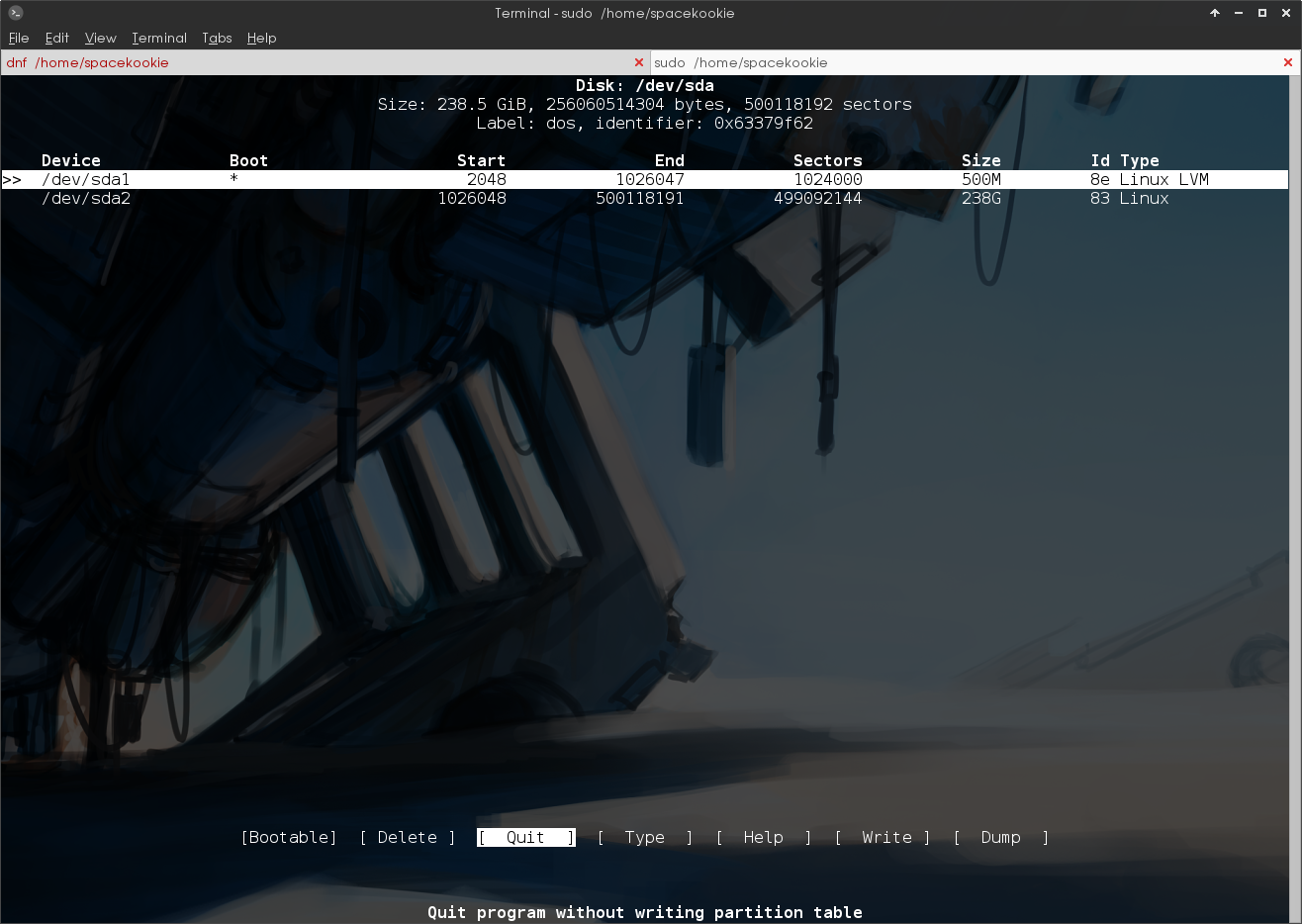 cfdisk after